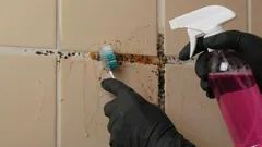 Jak pozbyć się pleśni z fug między płytkami – proste i skuteczne sposoby