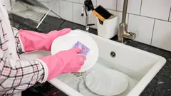 Dlaczego Niemcy nie spłukują naczyń detergentem - nie chodzi tylko o oszczędność pieniędzy